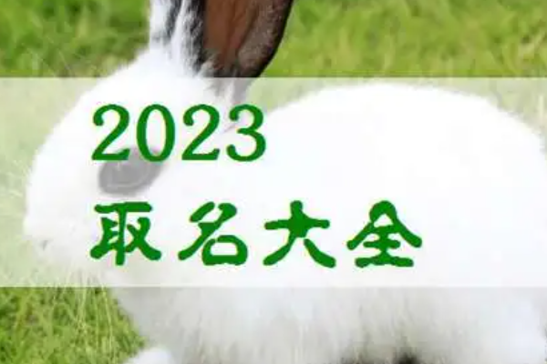 男宝宝取名字大全集2023兔年,属兔男宝宝名字大全2023洋气图3